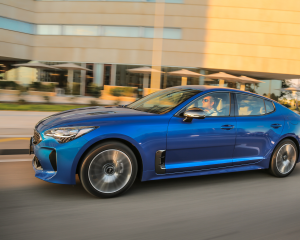 Kia Stinger blue dynamic  (17)